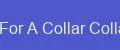 Bones For A Collar Collar Craft