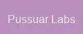 Pussuar Labs