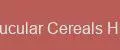 Crucular Cereals Hub
