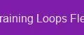 Training Loops Flex