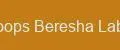 Loops Beresha Labs