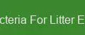 Bacteria For Litter Elite