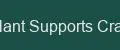 Plant Supports Craft