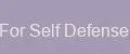 Britics For Self Defense Studio
