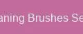Cleaning Brushes Select