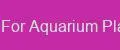 Fertilizers For Aquarium Plants Prime