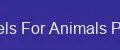 Gels For Animals Pro