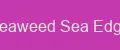 Seaweed Sea Edge