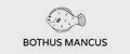 BOTHUS MANCUS