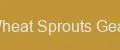 Wheat Sprouts Gear
