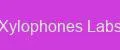 Xylophones Labs