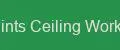 Pints Ceiling Works