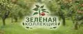 Зеленая коллекция