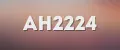 АН2224