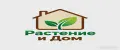 Растение и Дом