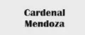 Cardenal Mendoza