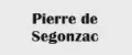 Pierre de Segonzac