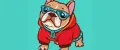 Lapushki_dog