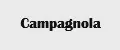 Campagnola