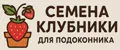 Семена клубники для подоконника