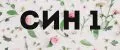 син1