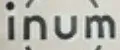INUM