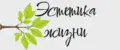 Эстетика Жизни