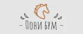 Пони Бум