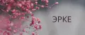 ЭРКЕ
