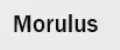Морулус