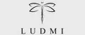 LUDMI