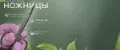 ALM_PRO