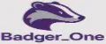 Badger_one