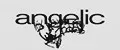 angelic project