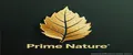 Prime Nature