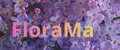 FloraMa