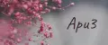 Apu3