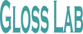 Gloss Lab