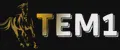 ТЕМ1