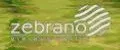 Zebrano-model