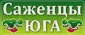 питомник «Саженцы Юга»