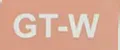 GT-W
