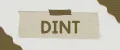DINT