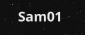 Sam01
