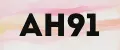 АН91