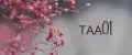 ТАА01
