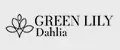 Green Lily Dahlia