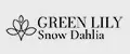 Green Lily Snow Dahlia