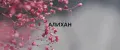 АЛИХАН