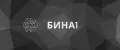 БИНА1